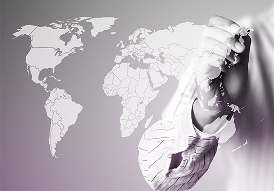 Access to a global network of potential partners and information